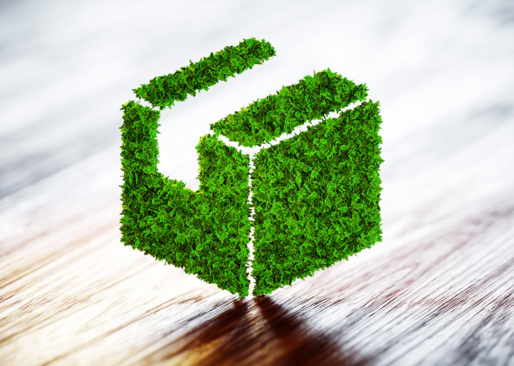 Eco-friendly sustainable packing green box.