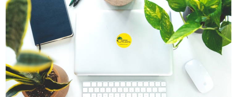 laptop, keyboard, computer mouse, notebook and two small plants sitting on a desk