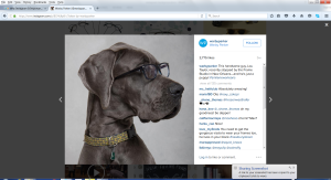 warby-parker